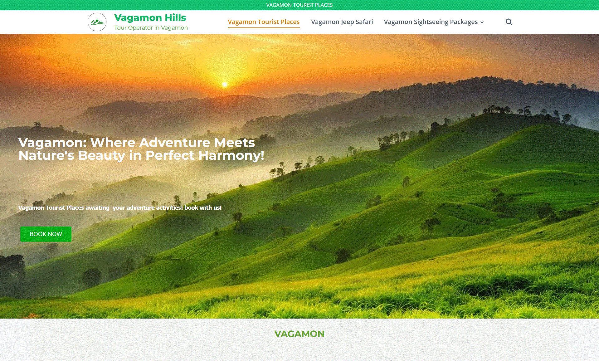 Home 11 porfolio vagamon